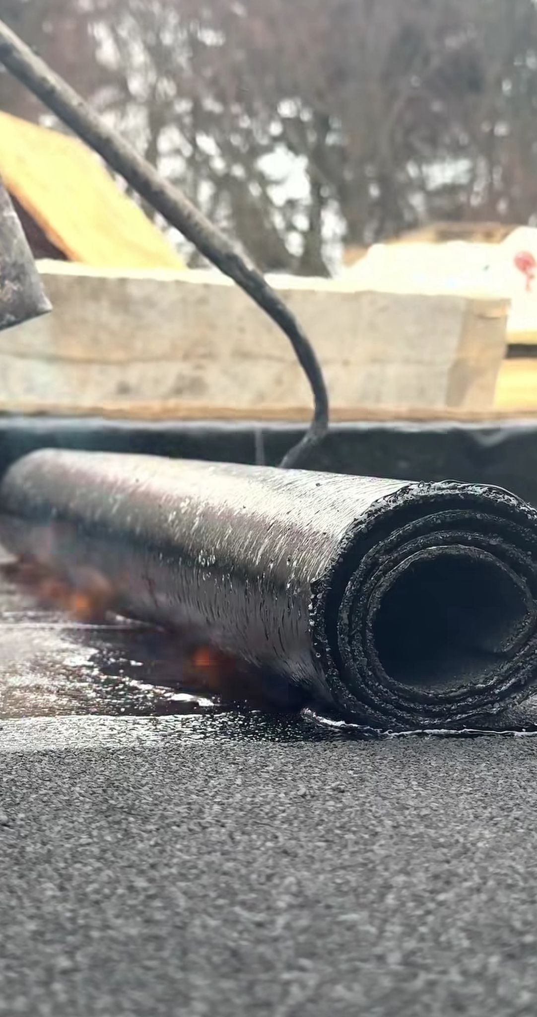 WhatsApp Image 2026-01-27 at 3.55.44 PM